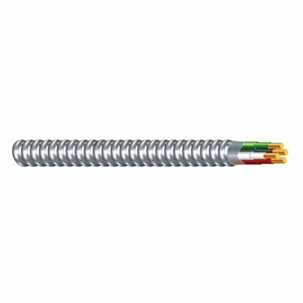 Armorlite Armored Cable, 14 AWG Cable, 2 -Conductor, 75 m L, Copper Conductor